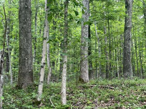 0 Keiths Fork Road Weston WV 26452