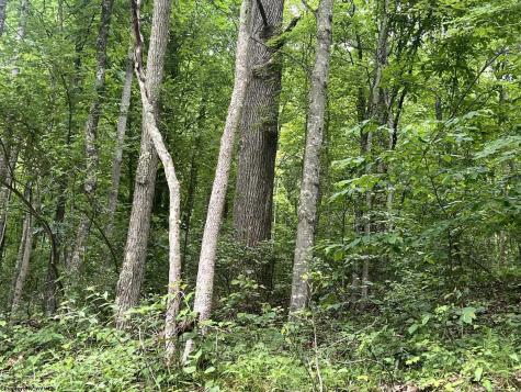 0 Keiths Fork Road Weston WV 26452