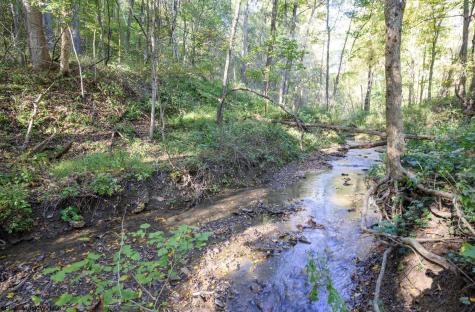 1 Panthers Run Wellsburg WV 26070