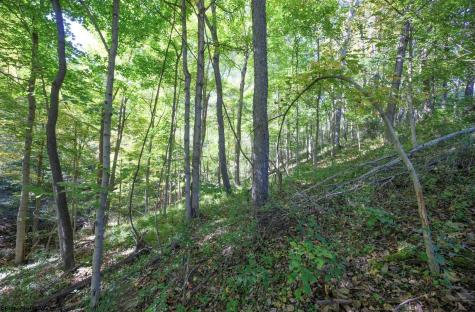 1 Panthers Run Wellsburg WV 26070