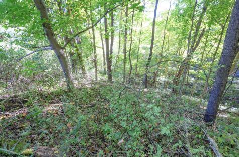 1 Panthers Run Wellsburg WV 26070