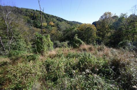 1 Panthers Run Wellsburg WV 26070