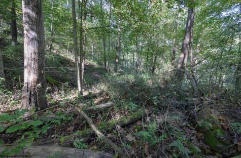 1 Panthers Run Wellsburg WV 26070
