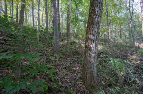 1 Panthers Run Wellsburg WV 26070