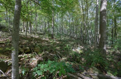 1 Panthers Run Wellsburg WV 26070