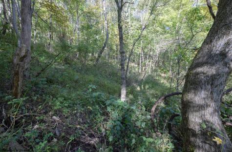 1 Panthers Run Wellsburg WV 26070