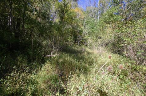 1 Panthers Run Wellsburg WV 26070