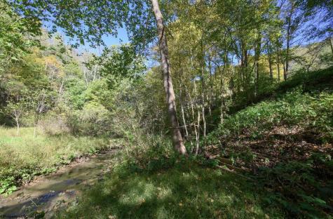 1 Panthers Run Wellsburg WV 26070