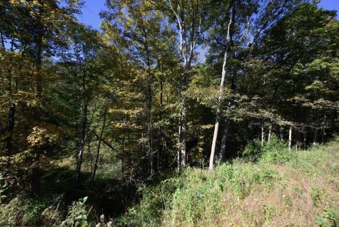 1 Panthers Run Wellsburg WV 26070