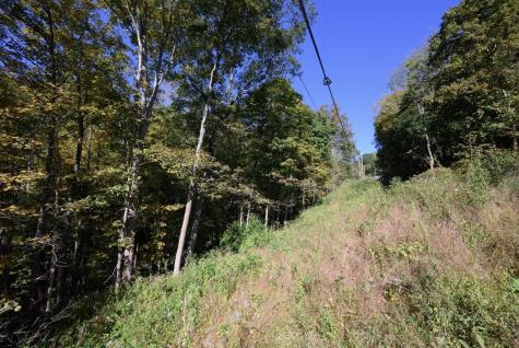 1 Panthers Run Wellsburg WV 26070