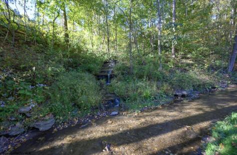 1 Panthers Run Wellsburg WV 26070