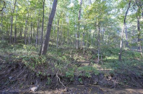 1 Panthers Run Wellsburg WV 26070