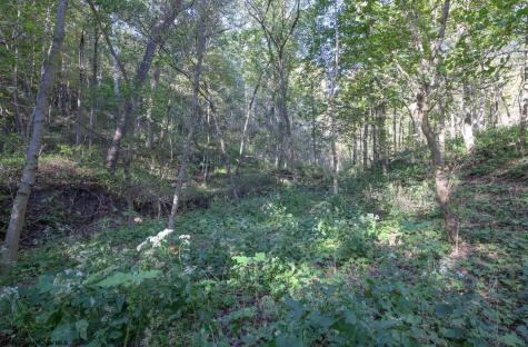 1 Panthers Run Wellsburg WV 26070
