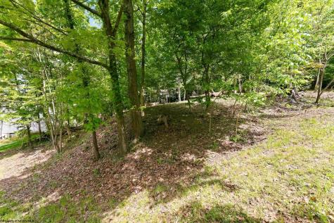 104 Forest Drive Morgantown WV 26505