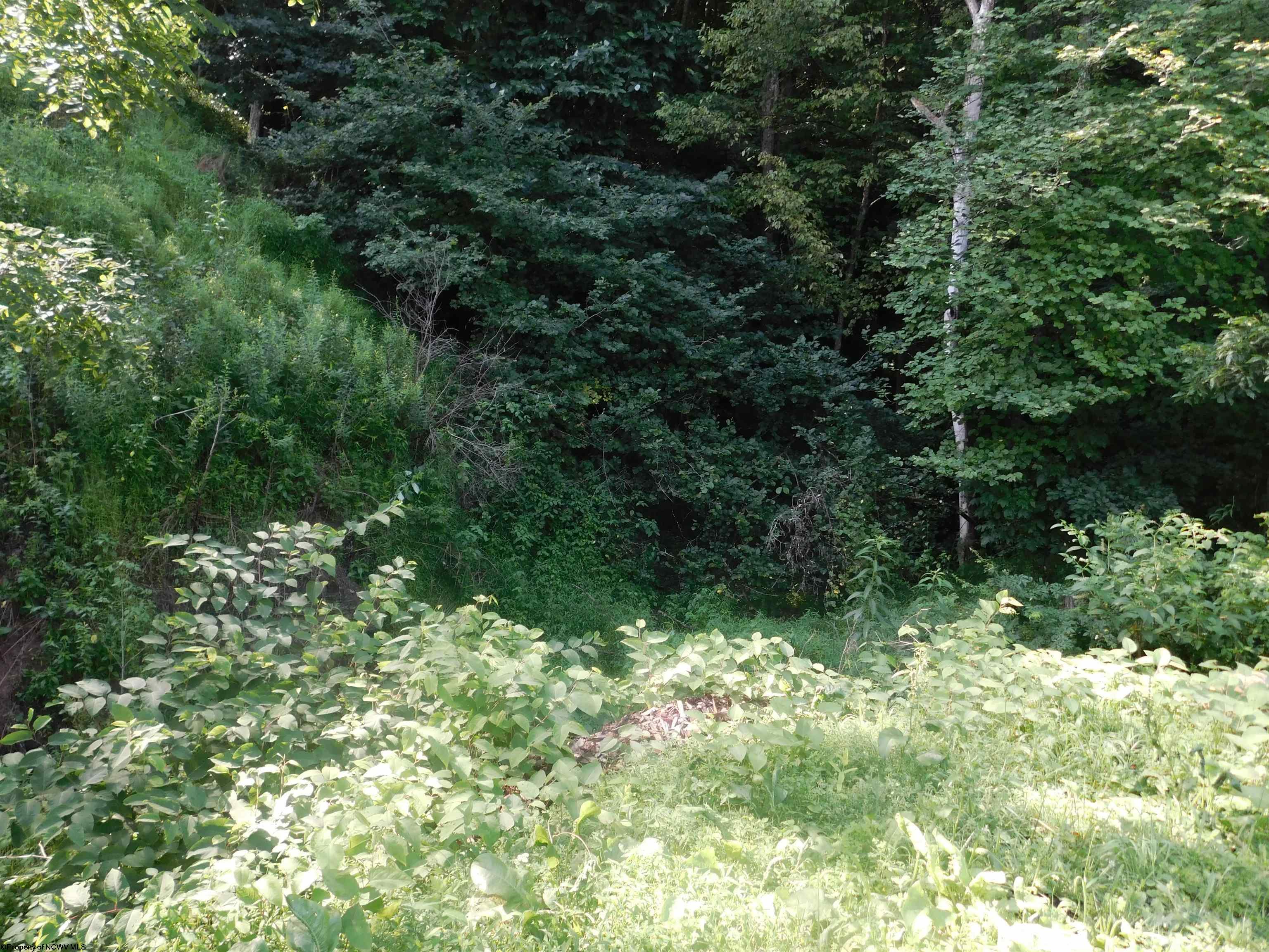 0 Independence Road Newburg WV 26410