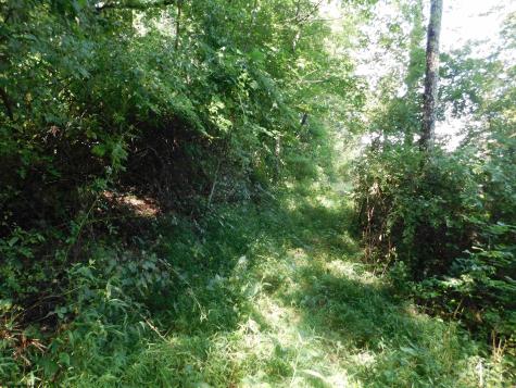 0 Independence Road Newburg WV 26410