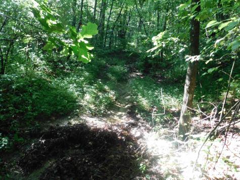 0 Independence Road Newburg WV 26410