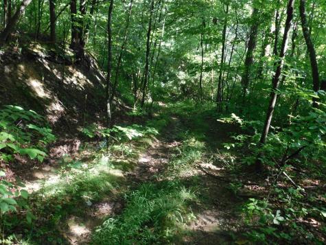 0 Independence Road Newburg WV 26410