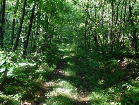 0 Independence Road Newburg WV 26410
