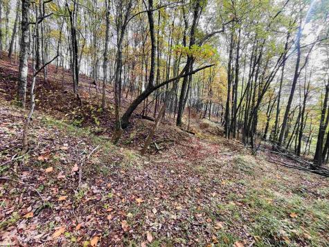 33213 Veterans Memorial Highway Terra Alta WV 26764