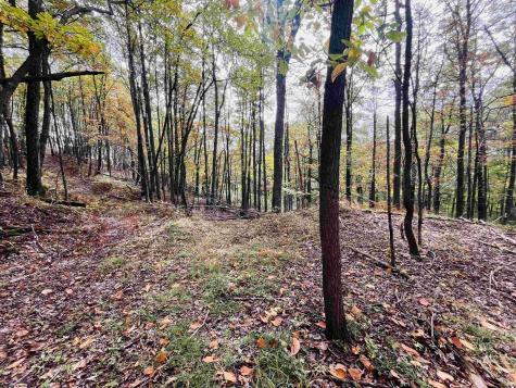 33213 Veterans Memorial Highway Terra Alta WV 26764