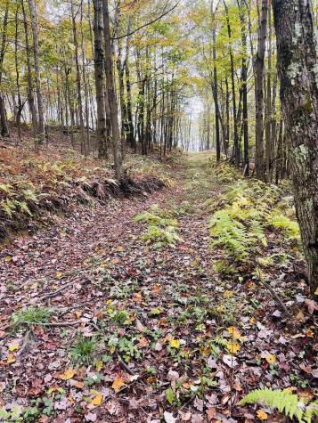 33213 Veterans Memorial Highway Terra Alta WV 26764