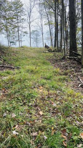 33213 Veterans Memorial Highway Terra Alta WV 26764