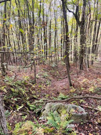 33213 Veterans Memorial Highway Terra Alta WV 26764