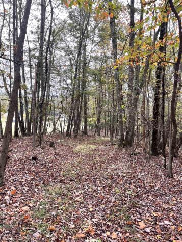 33213 Veterans Memorial Highway Terra Alta WV 26764