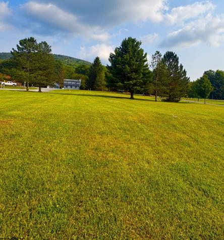Lot 46 Penny Lane Davis WV 26260