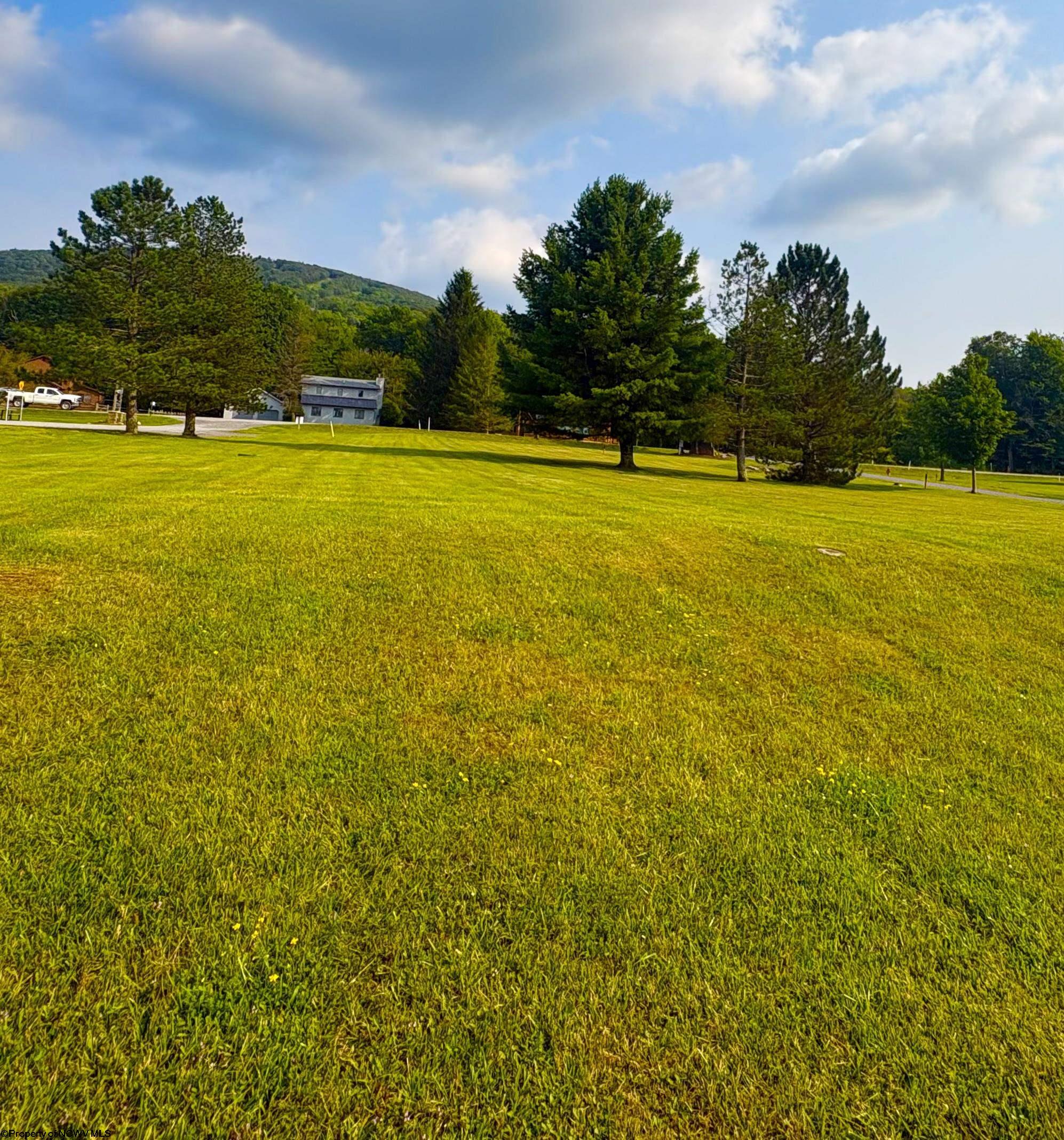 46 Penny Lane Davis WV 26260