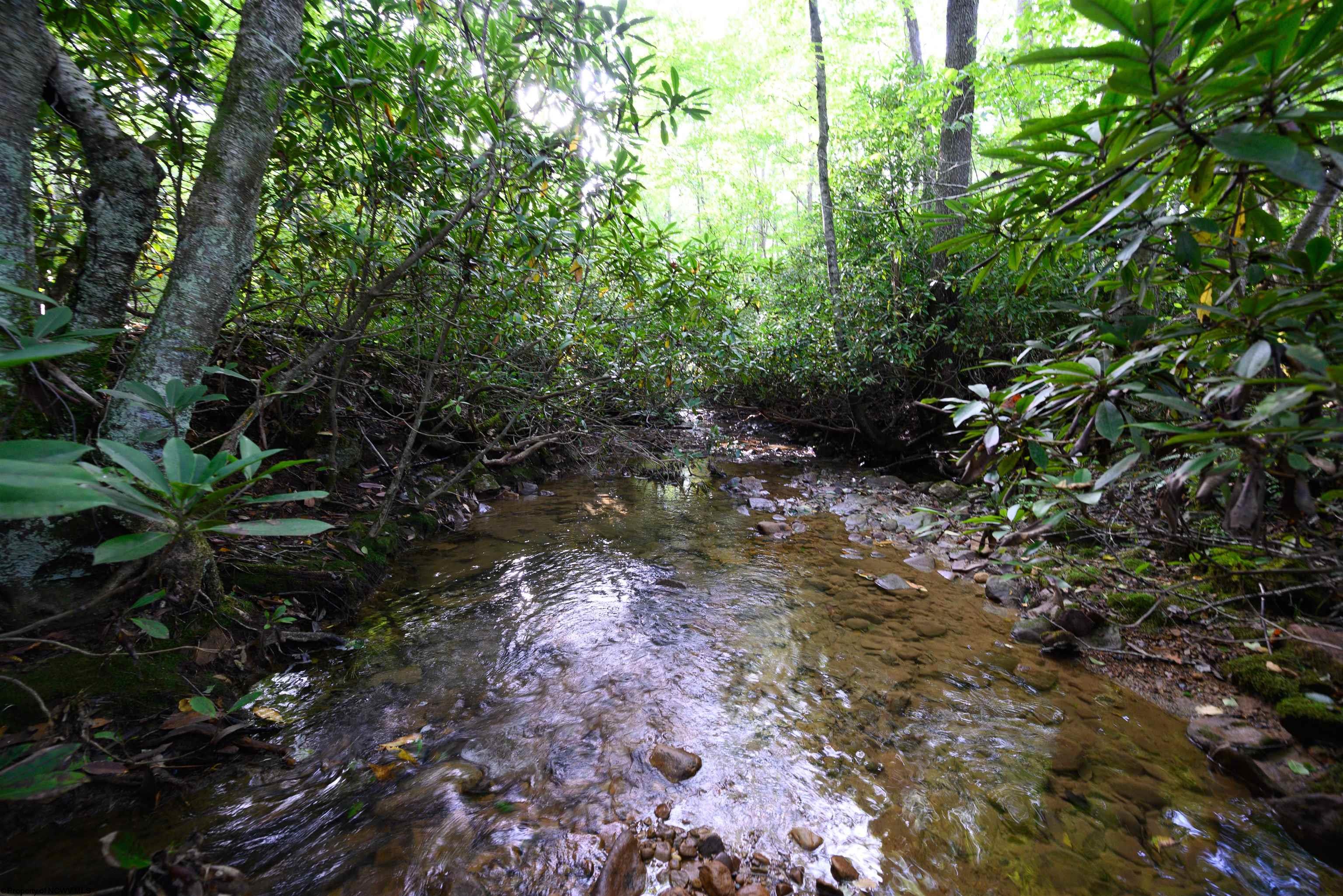 1 Deep Hollow Drive Kingwood WV 26537