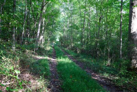 1 Deep Hollow Drive Kingwood WV 26537