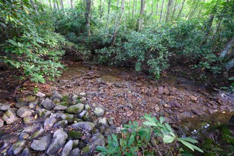 1 Deep Hollow Drive Kingwood WV 26537