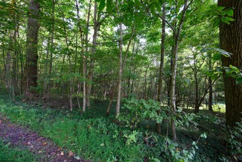 1 Deep Hollow Drive Kingwood WV 26537