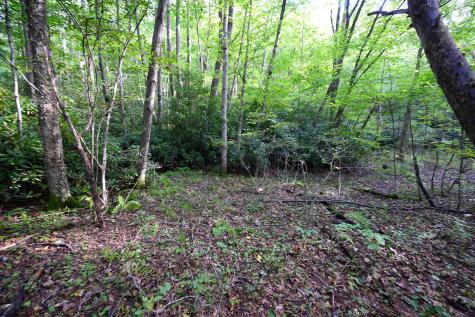 1 Deep Hollow Drive Kingwood WV 26537