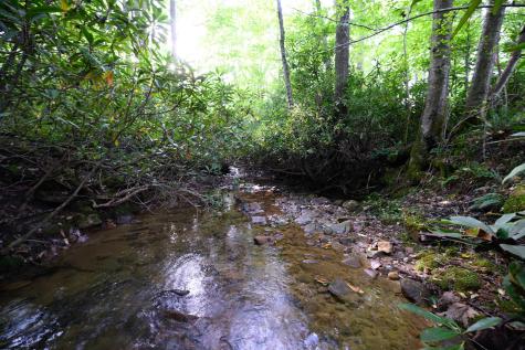 1 Deep Hollow Drive Kingwood WV 26537