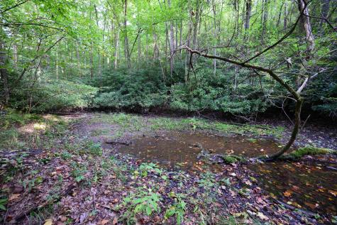 1 Deep Hollow Drive Kingwood WV 26537
