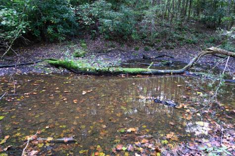 1 Deep Hollow Drive Kingwood WV 26537