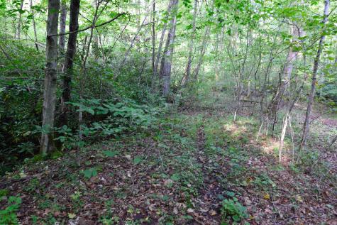 1 Deep Hollow Drive Kingwood WV 26537