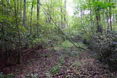 1 Deep Hollow Drive Kingwood WV 26537