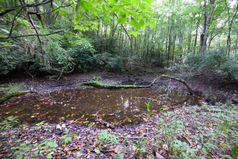 1 Deep Hollow Drive Kingwood WV 26537
