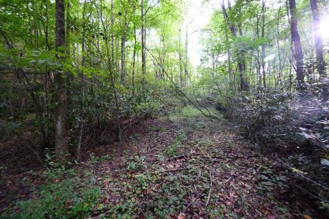 1 Deep Hollow Drive Kingwood WV 26537