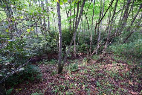 1 Deep Hollow Drive Kingwood WV 26537