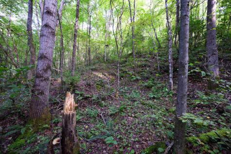 1 Deep Hollow Drive Kingwood WV 26537