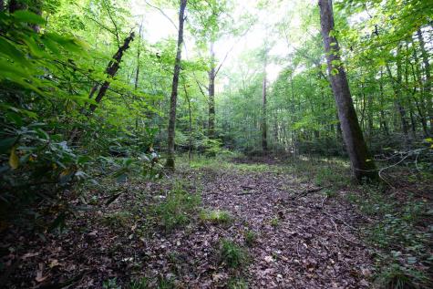 1 Deep Hollow Drive Kingwood WV 26537