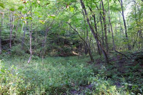 1 Deep Hollow Drive Kingwood WV 26537