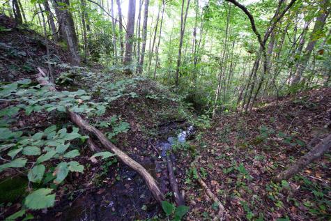 1 Deep Hollow Drive Kingwood WV 26537