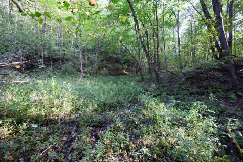 1 Deep Hollow Drive Kingwood WV 26537