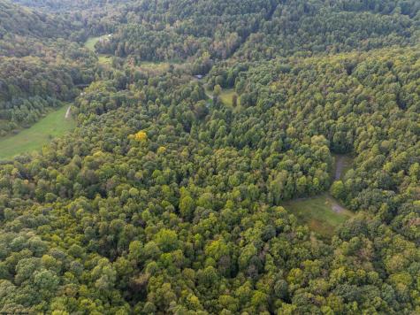 1 Deep Hollow Drive Kingwood WV 26537